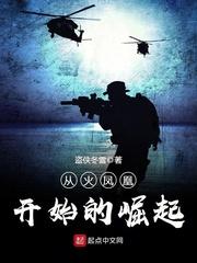 从火凤凰开始的崛起 聚合中文网
