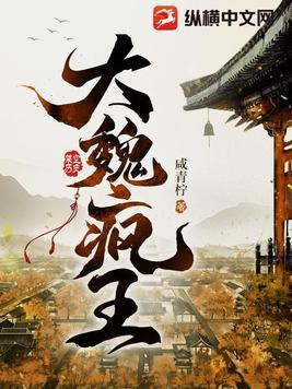 大魏疯王(凌宁)