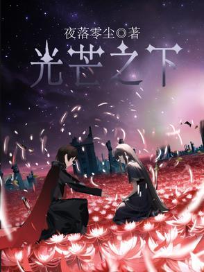 光芒全剧情